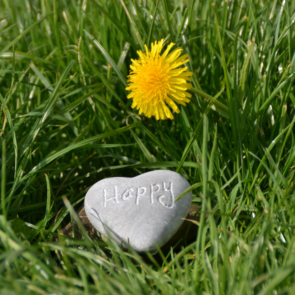 happy