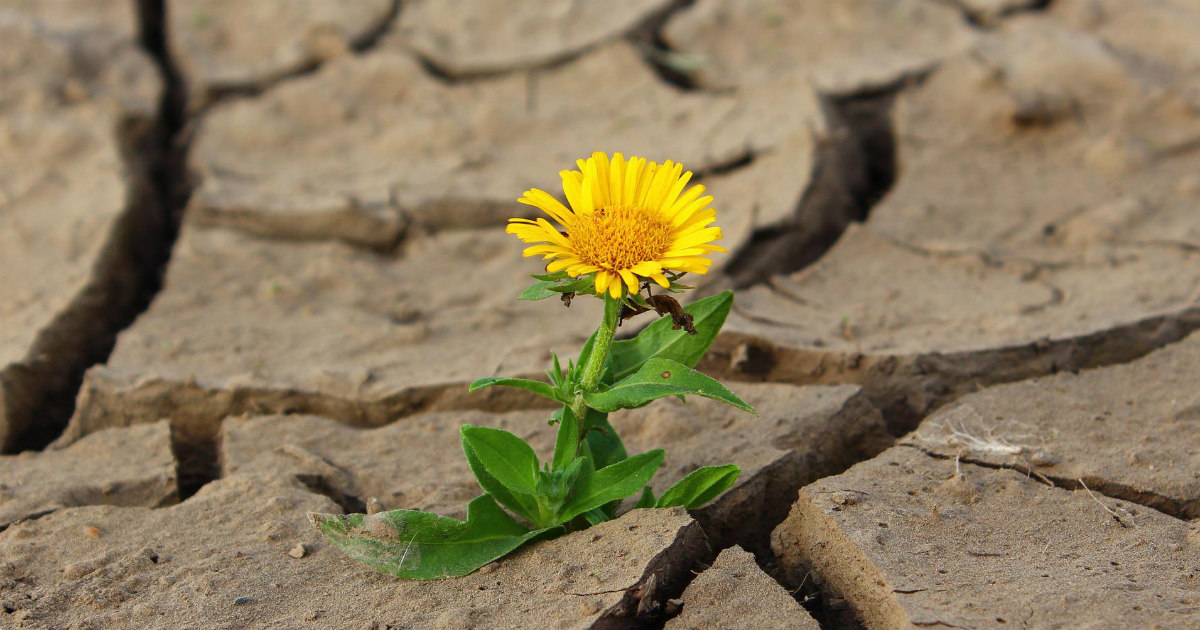 Living in Harmony with Natural Law